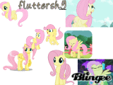 Fluttershy goes wild
