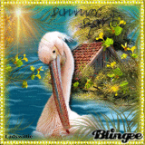 Pelican Stamp Challenge!!!
