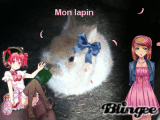 Mon lapin