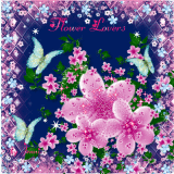 Butterflies are Flower Lovers!