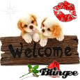 Benvenuti!Welcome!
