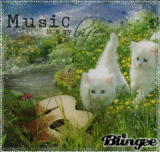 Music - cat version icon II ©