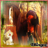 horse