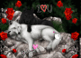 For my baby