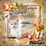 Hello, have a beautiful day