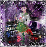 Kagome Midnight