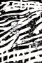 Zebra Emo :3