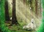 Wolf in the forest