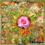 I Love Flowers!!!