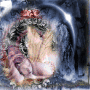 metamorphose