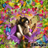 butterfly