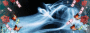 xXxgemx19Xx