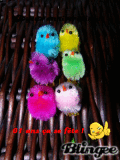 Animated Picture