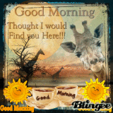 Good Morning