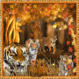 Why Do Tigers Love Autumn!!!