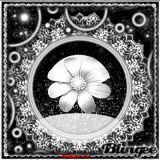 Black & White Glitter & Stars!!!