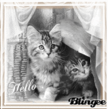 Hello Hello