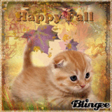 Autumn Kitten ~ Happy Fall, meow