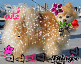 Just pure puppy love~