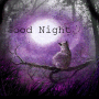 good night cat 
