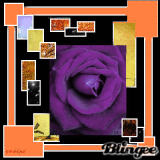 Spielerei mit Farben und Stamps