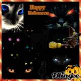 Halloween Cat!!!