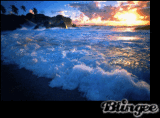 Blingee