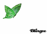Animated Picture