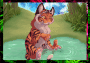 Fun in the Water