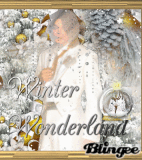 Silver & Gold: Neverland Wonderland