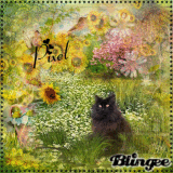 400 Pixel Breit 150 Pixel Hoch Pictures P 1 Of 151 Blingee Com