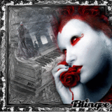 im Trost der Rose >< consolation in the rose