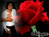 we miss you