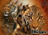 the eye of the tiger