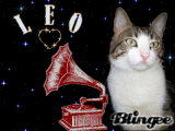  my wonderful Leo :-) 
