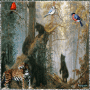 The Wildlife beauty