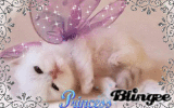 Princess