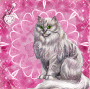 i love cats