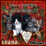 Purr-fect Christmas