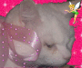 glister