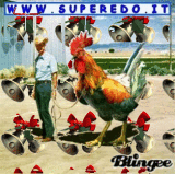 il mio gallo