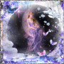 The fairy dreams