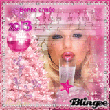 meilleurs voeux 2013 a tous