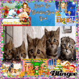 HAPPY NEW YEAR TO ALL MY FRIENDS! HAVE SOME SUNSHINE ON YOUR WINTER :) :)