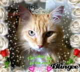 My Cat Shakespeare