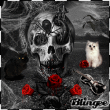 ♠  DaRk sHaDoW ♠