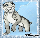 Shira