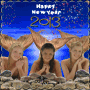 Mermaid new year