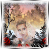 Beauty In the Winter