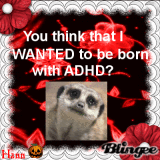 You think that I wanted to be born with ADHD?